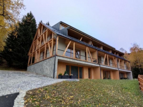 Hojsova Stráž Brčálník Apartmán Hannzi, Zelezná Ruda
